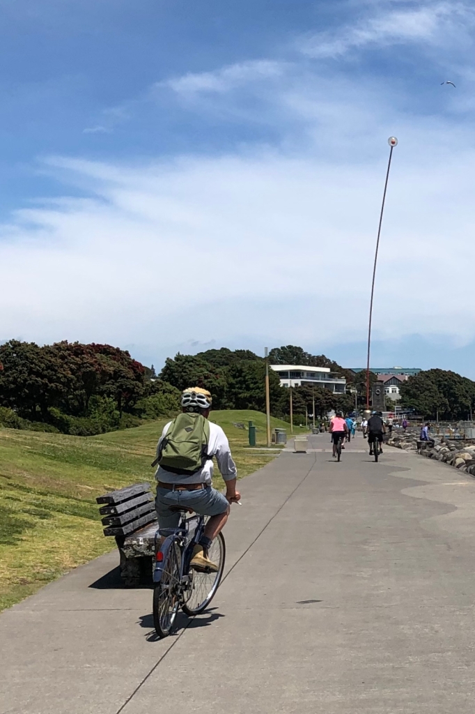 Cycling on the Coastal Walkway in New Plymouth near the Wind Wand sculpture